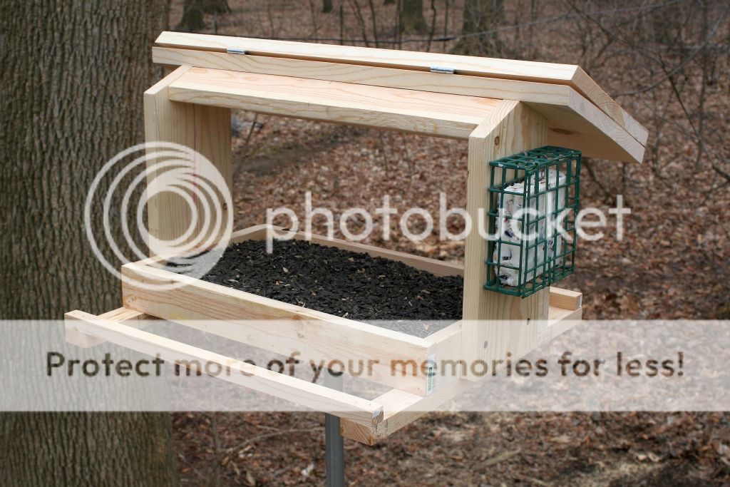 Bird feeder Michigan Sportsman Forum